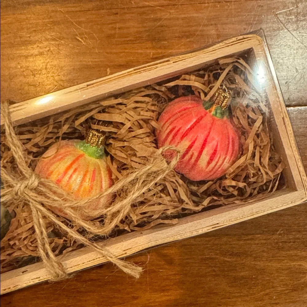 NIB Sur La Table Blown Glass Pumpkin Place Card Holders Set of 4 Hand Decorated